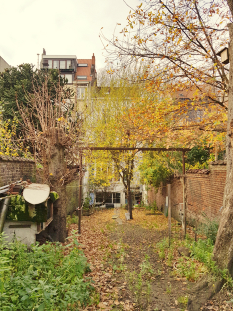 permis d'urbanisme Bruxelles AVENUE VAN VOLXEM 117, 1190 Forest
