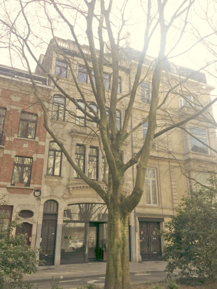 Architecte Bruxelles AVENUE DE LA CHEVALERIE 1, 1040 Etterbeek